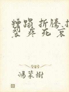 糟蹋 折腾 撕裂 疼 死 哀求