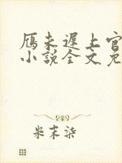雁未迟上官穿越小说全文免费阅读