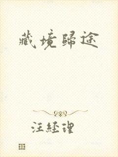 藏境归途