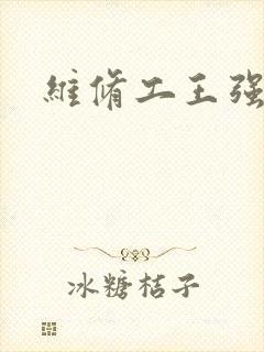 维修工王强张婷