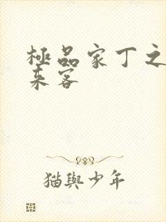 极品家丁之远方来客