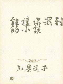 能让你湿到不行的小说