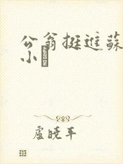 公翁挺进苏玥的小泬