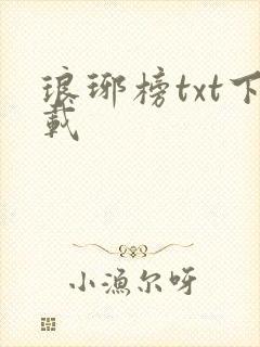 琅琊榜txt下载