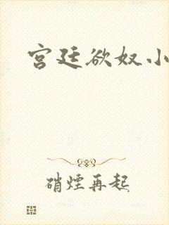 宫廷欲奴小说封面