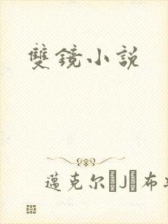 双镜小说