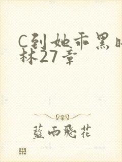 C到她乖黑暗森林27章