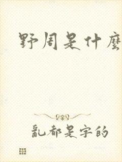 野周是什么意思