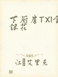 下厨房TXl金银花