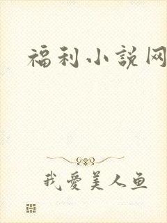 福利小说网
