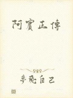 阿宾正传