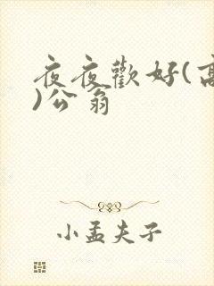 夜夜欢好(高h)公翁