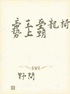 帝王受龙椅含玉势上朝封面