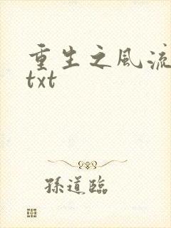 重生之风流仕途txt