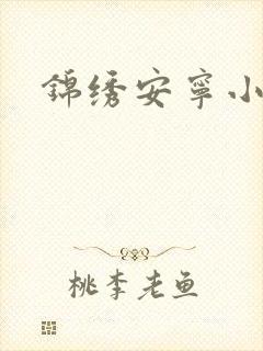 锦绣安宁小说