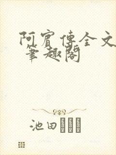 阿宾传全文阅读 笔趣阁