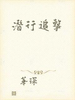 潜行追击封面