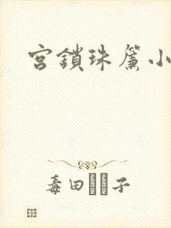 宫锁珠帘小说