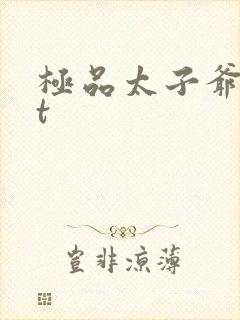 极品太子爷txt