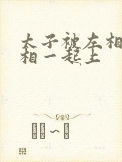 太子被左相和右相一起上