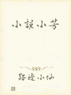 小说小芳