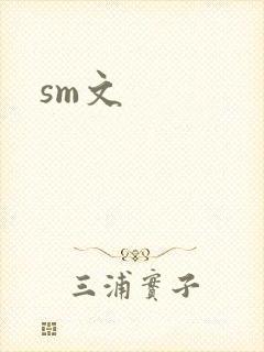 sm文封面