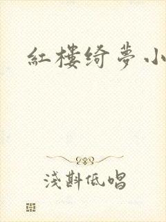 红楼绮梦小说