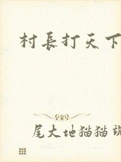 村长打天下封面