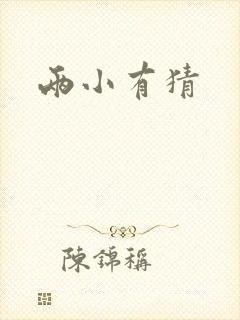 两小有猜封面
