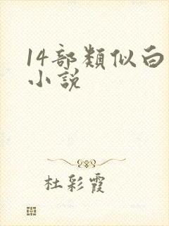 14部类似白洁小说封面