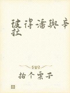 彼得潘与辛德瑞拉