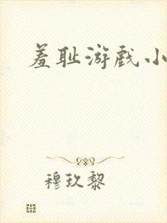 羞耻游戏小说
