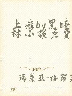 上瘾by黑暗森林小说免费
