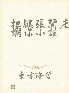 把腿张开老子臊烂你小说