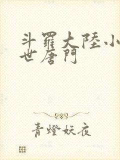 斗罗大陆小说绝世唐门