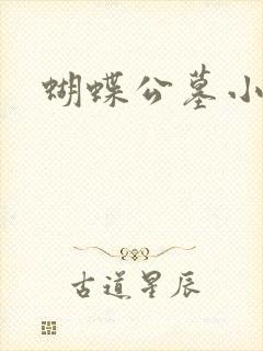 蝴蝶公墓小说