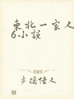 东北一家人1一6小说