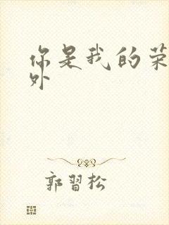 你是我的荣耀番外封面