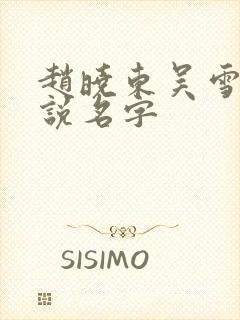 赵晓东吴雪晴小说名字封面