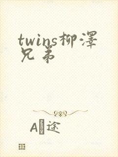 twins柳泽兄弟封面
