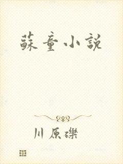 苏童小说