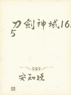 刀剑神域16.5