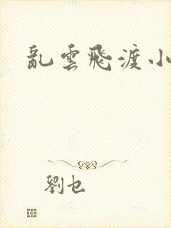 乱云飞渡小说