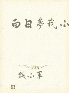 白日梦我小说