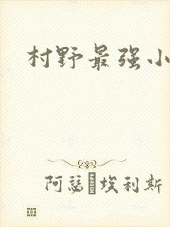 村野最强小农民封面