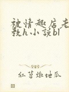 被情趣店老板调教h小说bl封面
