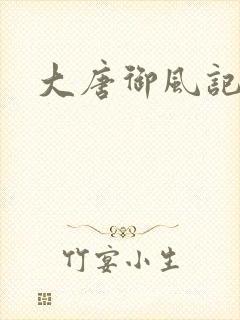 大唐御风记