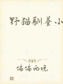 野猫驯养小说