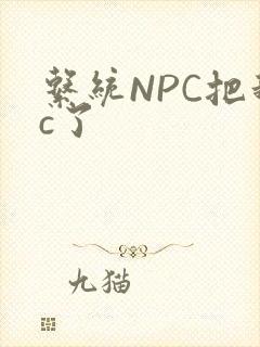 系统NPC把我c了