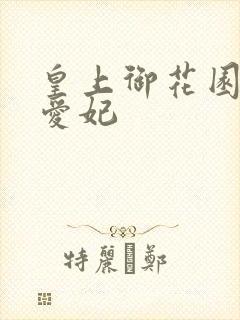 皇上御花园中要爱妃封面